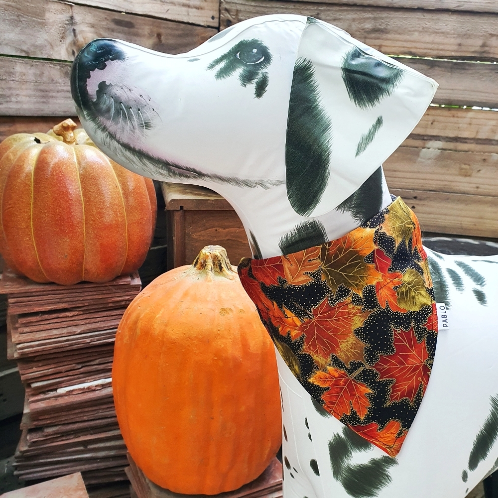 🐶 5 for $15 * Pablo Autumn Leaves Cotton Dog Bandana